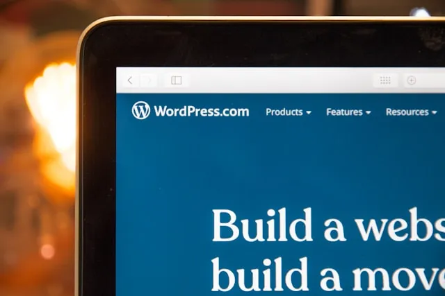 WordPress Developer